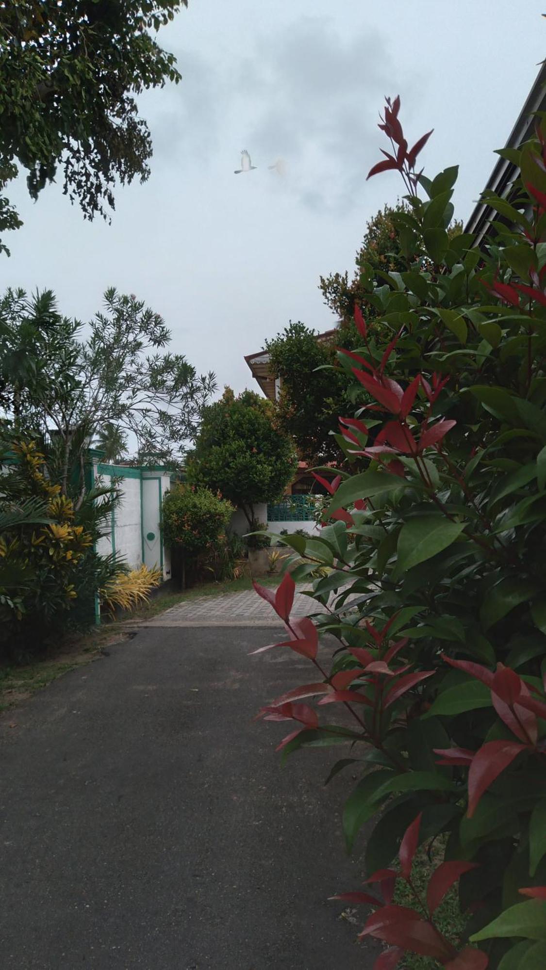 Ch Rooms - Transit Airport Negombo Exterior photo